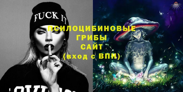 твердый Абаза