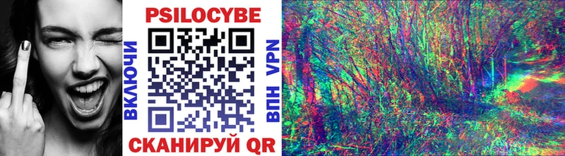 Псилоцибиновые грибы мухоморы mega рабочий сайт Тарко-Сале